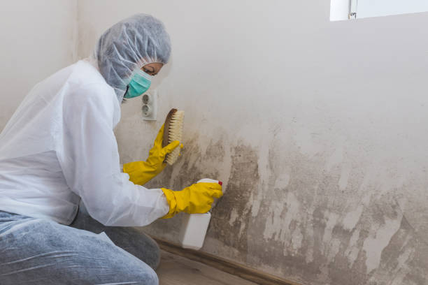 Best Residential Mold Removal  in Macedonia, OH