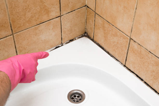 Best Fast Mold Removal  in Macedonia, OH